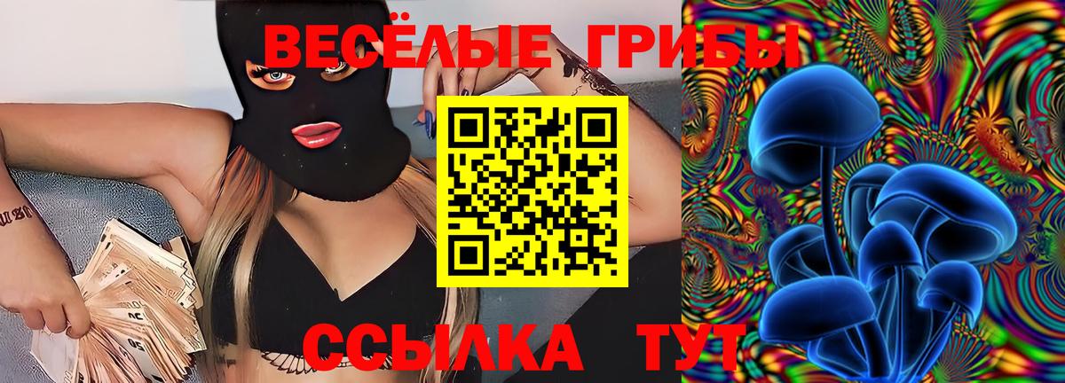 Псилоцибиновые грибы Psilocybe  Вход с VPN  Светлоград 